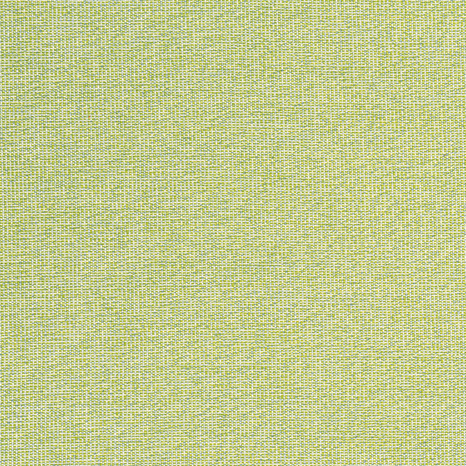 Sacchi Leaf W8763 by Thibaut Fabric Thibaut Fabric Sacchi Leaf W8763Fabric Haven Textures 100% Polyester (UV) U.S.A. </p><p>Repeat: V: - 54 - Fabric Carolina -