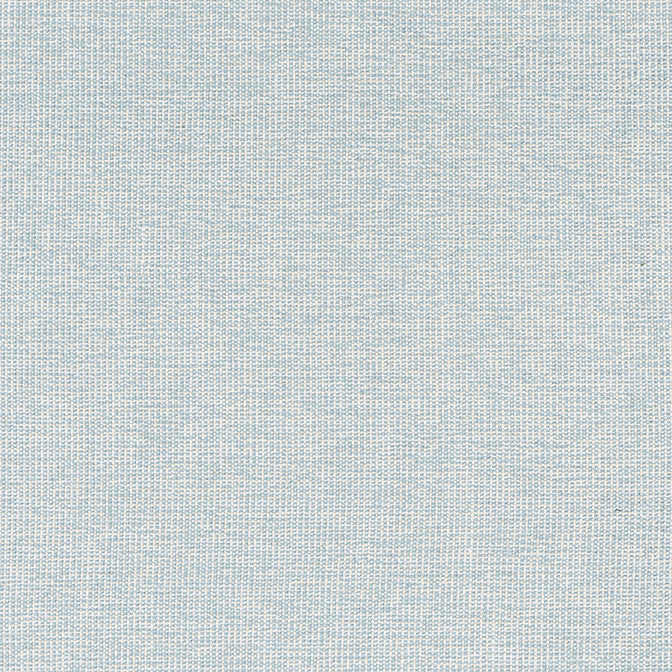 Sacchi Aqua W8764 by Thibaut Fabric Thibaut Fabric Sacchi Aqua W8764Fabric Haven Textures 100% Polyester (UV) U.S.A. </p><p>Repeat: V: - 54 - Fabric Carolina -