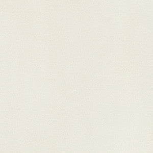 Thibaut Fabric Lyra Velvet Dove W8909