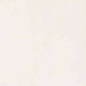 Thibaut Fabric Lyra Velvet Oyster W8910