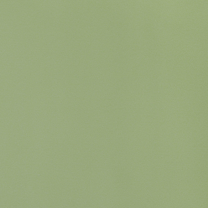Lyra Velvet Moss W8923 by Thibaut Fabric Thibaut Fabric Lyra Velvet Moss W8923Fabric Lyra Velvets 100% Cotton ITALY </p><p>Repeat: V: 0 54 - Fabric Carolina -