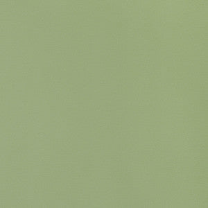 Thibaut Fabric Lyra Velvet Moss W8923