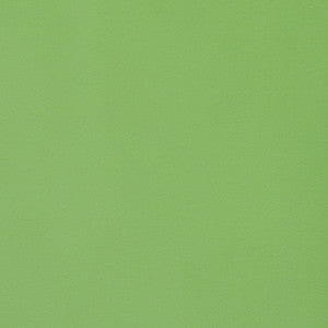 Thibaut Fabric Lyra Velvet Grass W8924