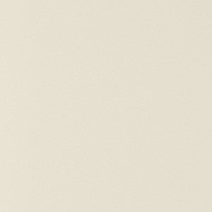 Thibaut Fabric Salta Putty W9015