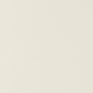 Thibaut Fabric Salta Bone W9017
