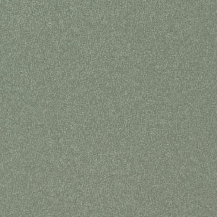 Salta Jade W9025 by Thibaut Fabric Thibaut Fabric Salta Jade W9025Fabric U.S.A </p><p>Repeat: H: , V: 0 (0.00 cm) 54 in  (137.16 cm) - Fabric Carolina -