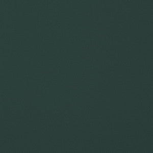 Thibaut Fabric Salta Forest W9026