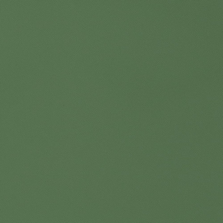 Salta Kelly W9027 by Thibaut Fabric Thibaut Fabric Salta Kelly W9027Fabric U.S.A </p><p>Repeat: H: , V: 0 (0.00 cm) 54 in  (137.16 cm) - Fabric Carolina -