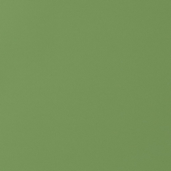 Salta Kiwi W9028 by Thibaut Fabric Thibaut Fabric Salta Kiwi W9028Fabric U.S.A </p><p>Repeat: H: , V: 0 (0.00 cm) 54 in  (137.16 cm) - Fabric Carolina -
