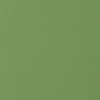 Thibaut Fabric Salta Kiwi W9028