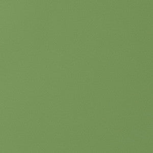 Thibaut Fabric Salta Kiwi W9028