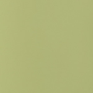 Thibaut Fabric Salta Apple W9029