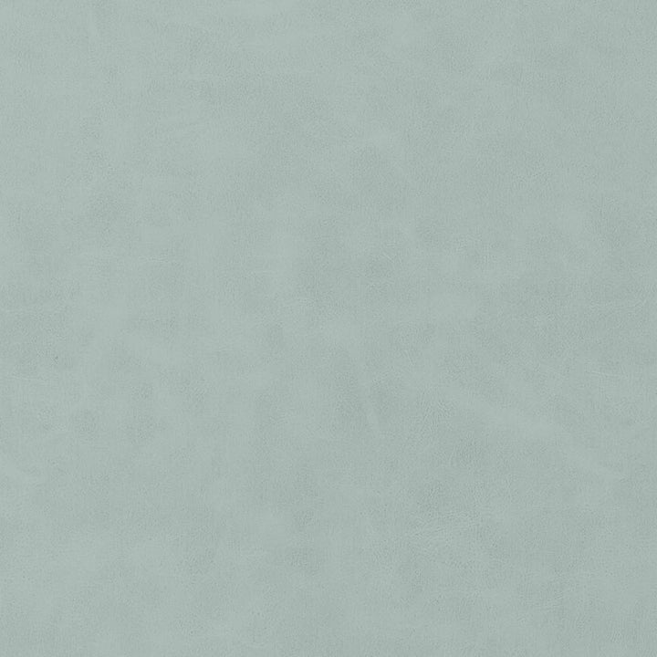Cabretta Cloud W9042 by Thibaut Fabric Thibaut Fabric Cabretta Cloud W9042Fabric U.S.A </p><p>Repeat: H: , V: 0 (0.00 cm) 54 in  (137.16 cm) - Fabric Carolina -