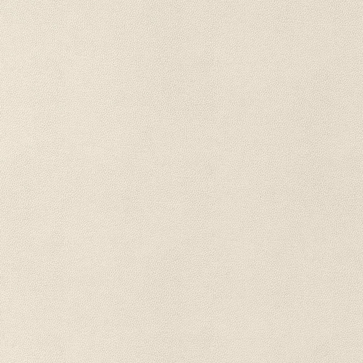 Gaucho Ecru W9049 by Thibaut Fabric Thibaut Fabric Gaucho Ecru W9049Fabric U.S.A </p><p>Repeat: H: , V: 0 (0.00 cm) 54 in  (137.16 cm) - Fabric Carolina -
