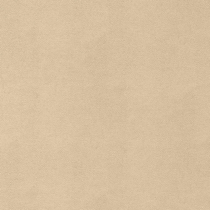 Gaucho Suede W9052 by Thibaut Fabric Thibaut Fabric Gaucho Suede W9052Fabric U.S.A </p><p>Repeat: H: , V: 0 (0.00 cm) 54 in  (137.16 cm) - Fabric Carolina -