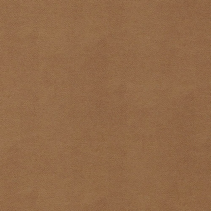 Gaucho Cedar W9053 by Thibaut Fabric Thibaut Fabric Gaucho Cedar W9053Fabric U.S.A </p><p>Repeat: H: , V: 0 (0.00 cm) 54 in  (137.16 cm) - Fabric Carolina -