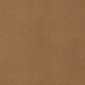 Thibaut Fabric Gaucho Cedar W9053