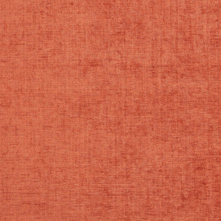 Warrior 29J7081 by JF Designer Fabric Winning Weaves V Book 100% Polyester India 140000 Horizontal: and Vertical: 55 - Swanky Fabrics -