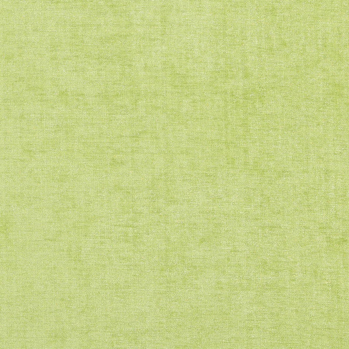 WARRIOR 73J7081 by JF Designer Fabric Winning Weaves V Book 100% Polyester India  Horizontal:  and Vertical:  55  - Swanky Fabrics -