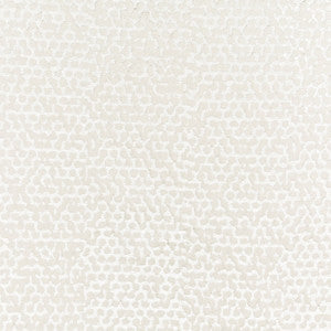 Stout Fabric Wasola 1 Parchment