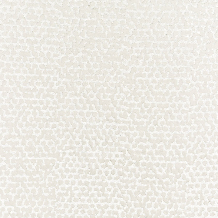 Wasola 1 Parchment by Stout Fabric Stout Fabric Wasola 1 ParchmentFabric COLOR MY WINDOW CHALK/TAUPE 100%POL INDIA </p><p>Repeat: H: 9.250, V: 20.000 55 in - Fabric Carolina -
