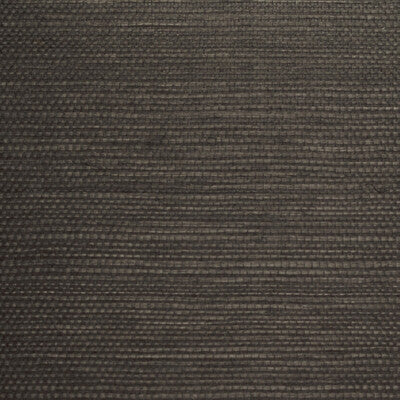 WBG5106.WT.0 by Winfield Thybony Wallcovering Winfield Thybony Wallcovering WBG5106.WT.0Wallcovering WINFIELD THYBONY BARCLAY BUTERA PLAINS SISAL - 100% United States </p><p>Repeat: H: 0, V: 0 36 - Fabric Carolina -