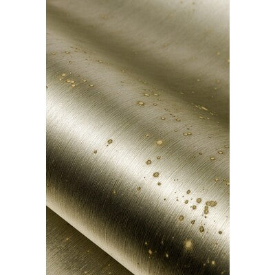 WDW2297.WT.0 by Winfield Thybony Wallcovering Winfield Thybony Wallcovering WDW2297.WT.0Wallcovering WINFIELD THYBONY FOIL ON NON-WOVEN - 100% United States </p><p>Repeat: H: , V: 36 - Fabric Carolina -