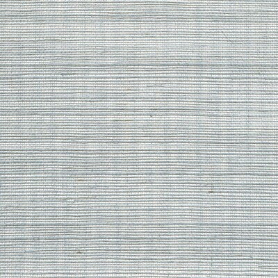 WDW2405.WT.0 by Winfield Thybony Wallcovering Winfield Thybony Wallcovering WDW2405.WT.0Wallcovering WINFIELD THYBONY SISAL - 100% United States </p><p>Repeat: H: , V: 36 - Fabric Carolina -