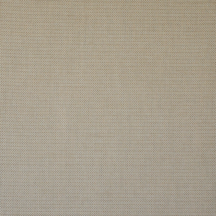 Wet Sand # 501 Camel by Maxwell Designer Fabric Home & Garden-Act I 100% SUNBRELLA ACRYLIC USA 54" - Swanky Fabrics -