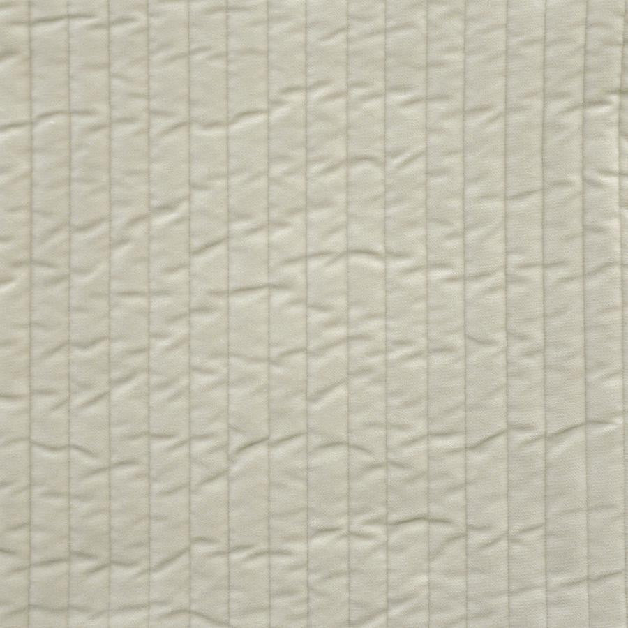 Westwind # 931 Bone by Maxwell Designer Fabric Performance Wovens-Vol. V Silver Sun 100% POLYESTER SOUTH KOREA V- 6" 54" - Swanky Fabrics -