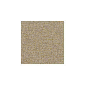 Winfield Thybony Wallpaper Radiate Sable