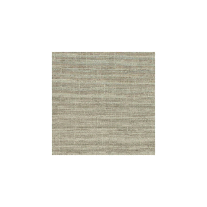 Patagonia Straw by Winfield Thybony Wallcovering Winfield Thybony Wallcovering Patagonia StrawWallcovering WINFIELD THYBONY VINYL - 100% United States </p><p>Repeat: H: , V: 54 - Fabric Carolina -