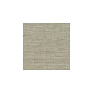 Winfield Thybony Wallpaper Patagonia Straw