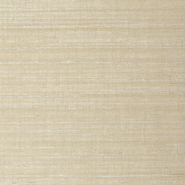 Winfield Thybony Wallcovering Plaster