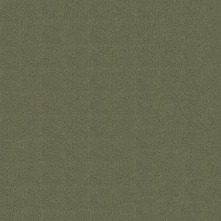 Whisper Vinyl 2120 Antelope by Softside Designer Fabric Vinyl/Urethane Topcoat Costa Rica 100,000 Double Rubs (Wyzenbeek) </p><p>Repeat: Horizontal: and Vertical: 54" (137 cm) - Swanky Fabrics -