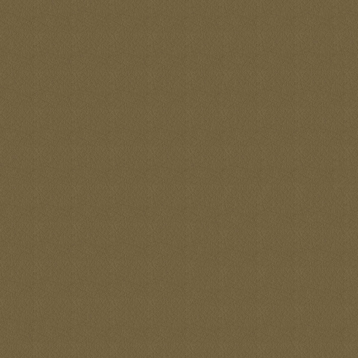 Whisper Vinyl 2121 Cappuccino by Softside Designer Fabric N/A Vinyl/Urethane Topcoat Costa Rica 100,000 Double Rubs </p><p>Repeat: Horizontal: and Vertical: 54" (137 cm) - Swanky Fabrics -