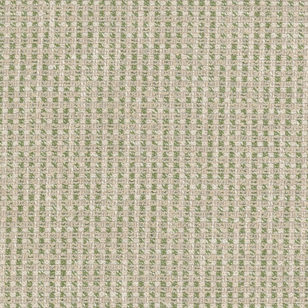 Whiz 1 Apple by Stout Designer Fabric