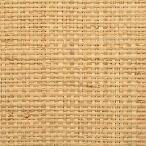 Hinson Wallpaper Madagascar - Coarse/Natural Whn00Aby0390