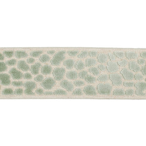 Magnolia Trim Wilder Tape Sea Green