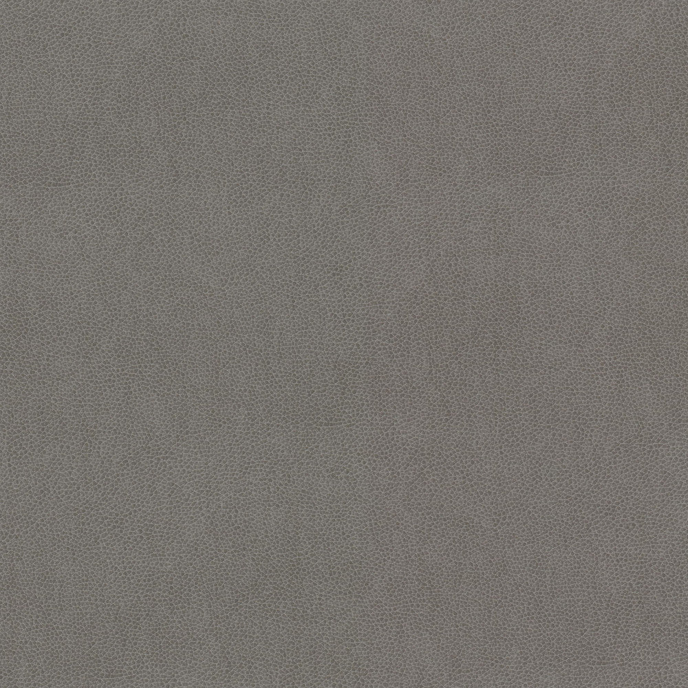 Wilkinson 2 Dove by Stout Fabric Stout Fabric Wilkinson 2 DoveFabric LEATHER LOOKS V 100%POU 1%OTH CHINA </p><p>Repeat: H: 0.000, V: 0.000 54 in - Fabric Carolina -