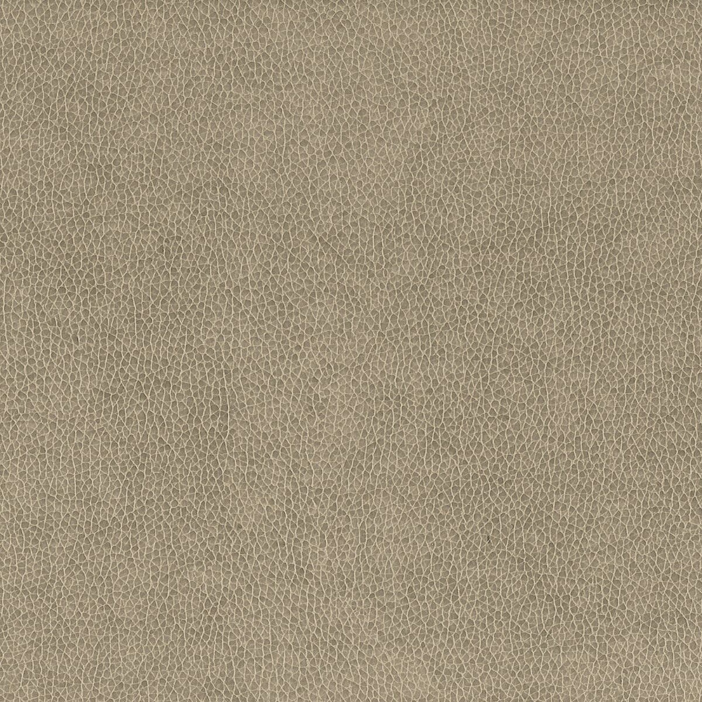 Wilkinson 2 Dove by Stout Designer Fabric On The Go 100% Polyurethane 1% Other CHINA FLAME RETARDANT-CA BULLETIN 117-SECTION E FLAME RETARDANT-U.F.A.C. CLASS 1 (OR A) FLAME RETARDANT-N.F.P.A. 260A CLASS 1 WYZENBEEK 500 000 DOUBLE RUB WEAR TEST(EXTREMELY HEAVY DUTY) FLAME RETARDANT-FMVSS 302 Horizontal: 0 and Vertical: 0 54 in - Swanky Fabrics -