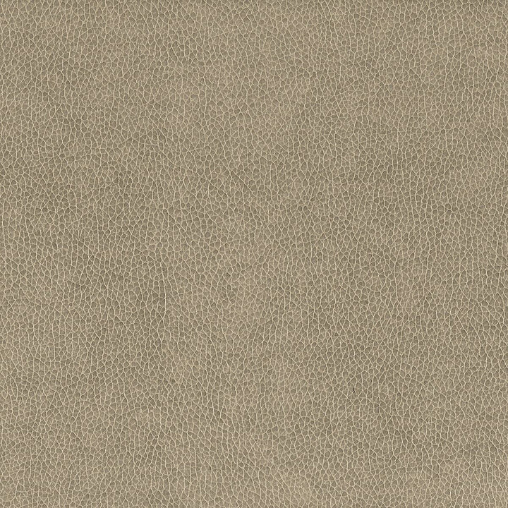Wilkinson 2 Dove by Stout Designer Fabric ON THE GO 100%POU 1%OTH CHINA FLAME RETARDANT-CA BULLETIN 117-SECTION E FLAME RETARDANT-U.F.A.C. CLASS 1 FLAME RETARDANT-N.F.P.A. 260A CLASS 1 WYZENBEEK 500 000 DOUBLE RUB WEAR TEST(EXTREMELY HEAVY DUTY) FLAME RETARDANT-FMVSS 302 </p><p>Repeat: 0 54 in - Swanky Fabrics -