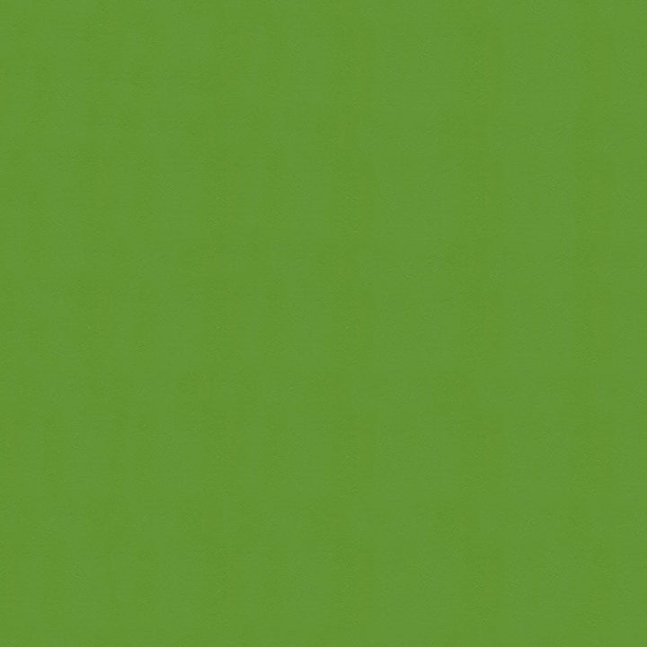 Windsong 717 Lime Cooler by Ship to Shore Designer Fabric N/A 100% Polyvinyl Chloride (PVC) Taiwan 100,000 Double Rubs </p><p>Repeat: Horizontal: and Vertical: 54" (137 cm) - Swanky Fabrics -
