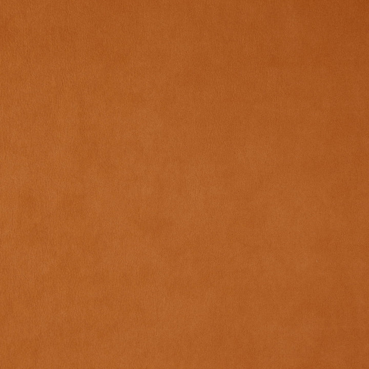 Wisdom 26J7531 by JF Designer Fabric Tannery Basics II Book 100% Polyester China 30000 Horizontal: and Vertical: 55 - Swanky Fabrics -