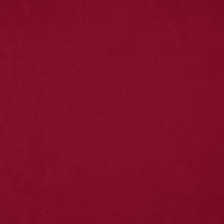 Wisdom 47J7531 by JF Designer Fabric Tannery Basics II Book 100% Polyester China 30000 Horizontal: and Vertical: 55 - Swanky Fabrics -