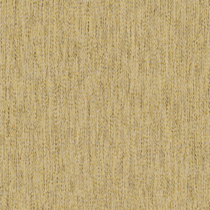 Well Dressed # 978 Honey by Maxwell Designer Fabric Performance Textures V 88% RECYCLED POLYESTER
12% POLYESTER CHINA 57" - Swanky Fabrics -