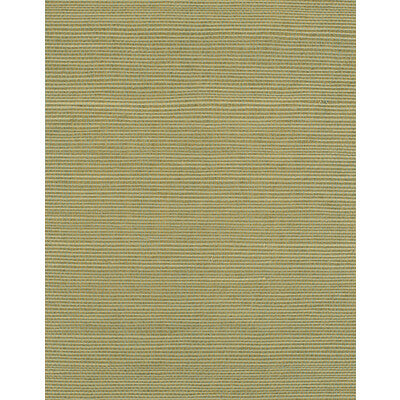 Winfield Thybony - Wallcovering - WIW2519.WT.0 - Wallcovering - SISAL - 100% - United States </p><p>Repeat: H: , V: 27.5 21 - My Fabric Connection -