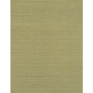 Winfield Thybony Wallpaper Bermuda Celadon WIW2519.WT.0