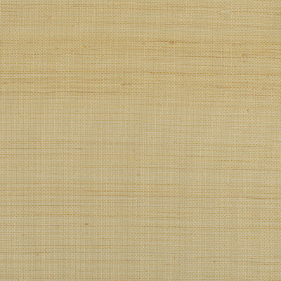 Winfield Thybony - Wallcovering - WIW2520.WT.0 - Wallcovering - ABACA - 100% - United States </p><p>Repeat: H: , V: 27.5 21 - My Fabric Connection -