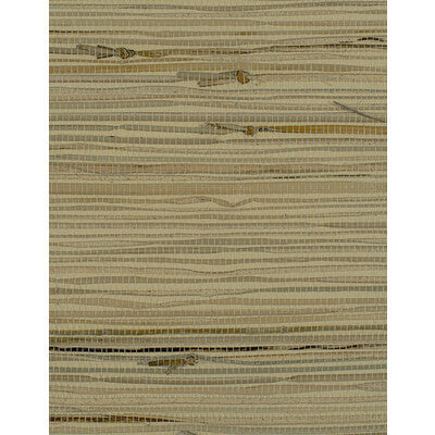 Winfield Thybony - Wallcovering - WIW2558.WT.0 - Wallcovering - GRASS - 100% - United States </p><p>Repeat: H: , V: 27.5 21 - My Fabric Connection -